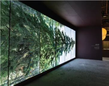 Quand l’art stimule l'épanouissement de l'environnement social et naturel dans lequel nous vivons.