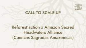 APPEL À L'ACCÉLÉRATION : Reforest'action x Amazon Sacred Headwaters Alliance (Cuencas Sagradas Amazonicas) 🔉