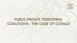 PUBLIC-PRIVATE TERRITORIAL COALITIONS : THE CASE OF COVALO 🔉